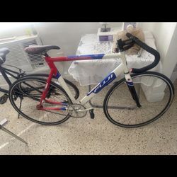 Fuji Profesional Track Bike