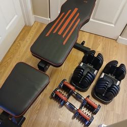 Bowflex SelectTech 552 Adjustable Dumbbells With Adjustable bench press.