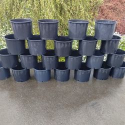 7 gal nursery container, $ 5 ea. Have 30-40 available.