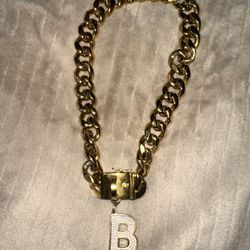 frenchie gold collar 