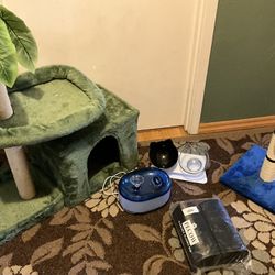 Kitten/cat Miscellaneous- Everything For $30