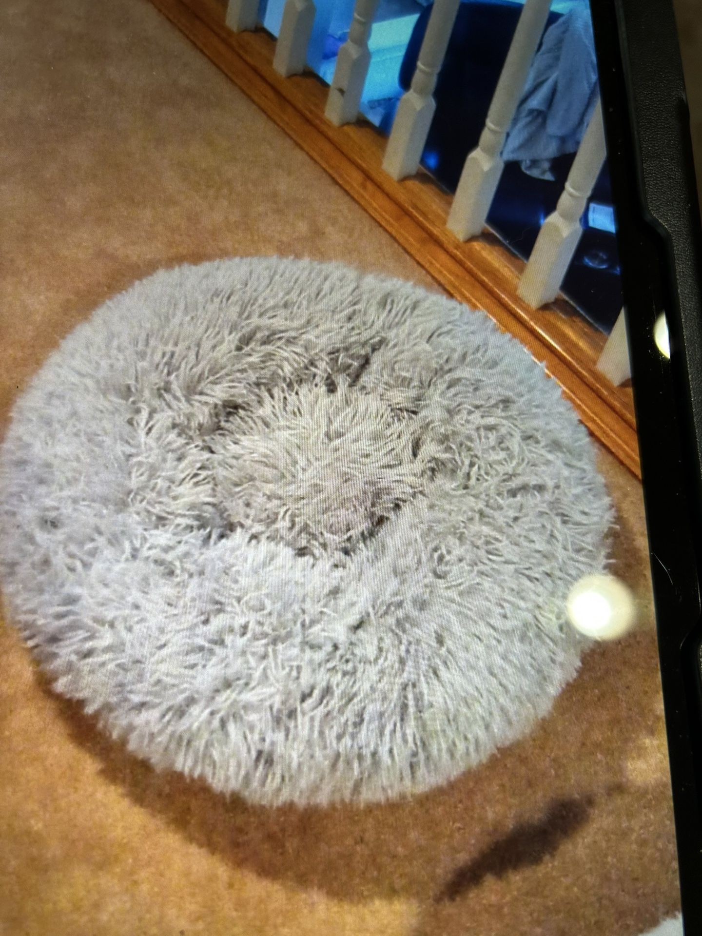 Small Pet Bed