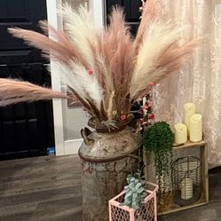 Pompas Grass / Feathers