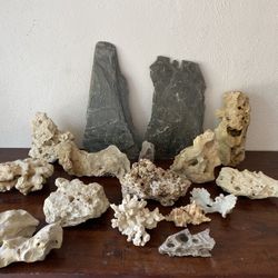 Real Coral And Stone For Fish Tank Aquarium 