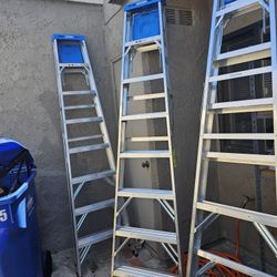 Werner Aluminum Ladder 