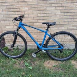 "Giant" Bike