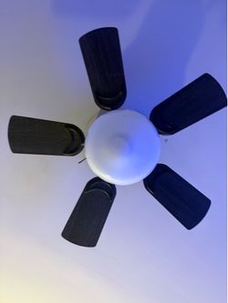 Ceiling fan