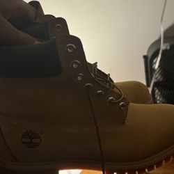 Timberland