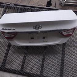 Trunk Door 