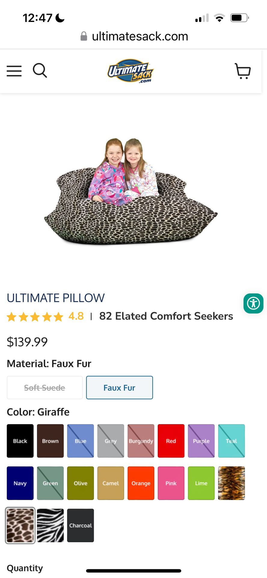 Ultimate Sack Large Floor Pillow