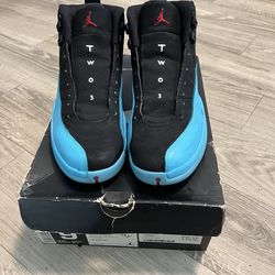 Air Jordan 12 Retro Gamma Blue – Size 9.5 (OG Box