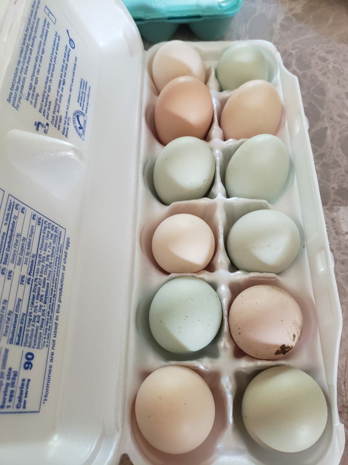 Fresh eggs