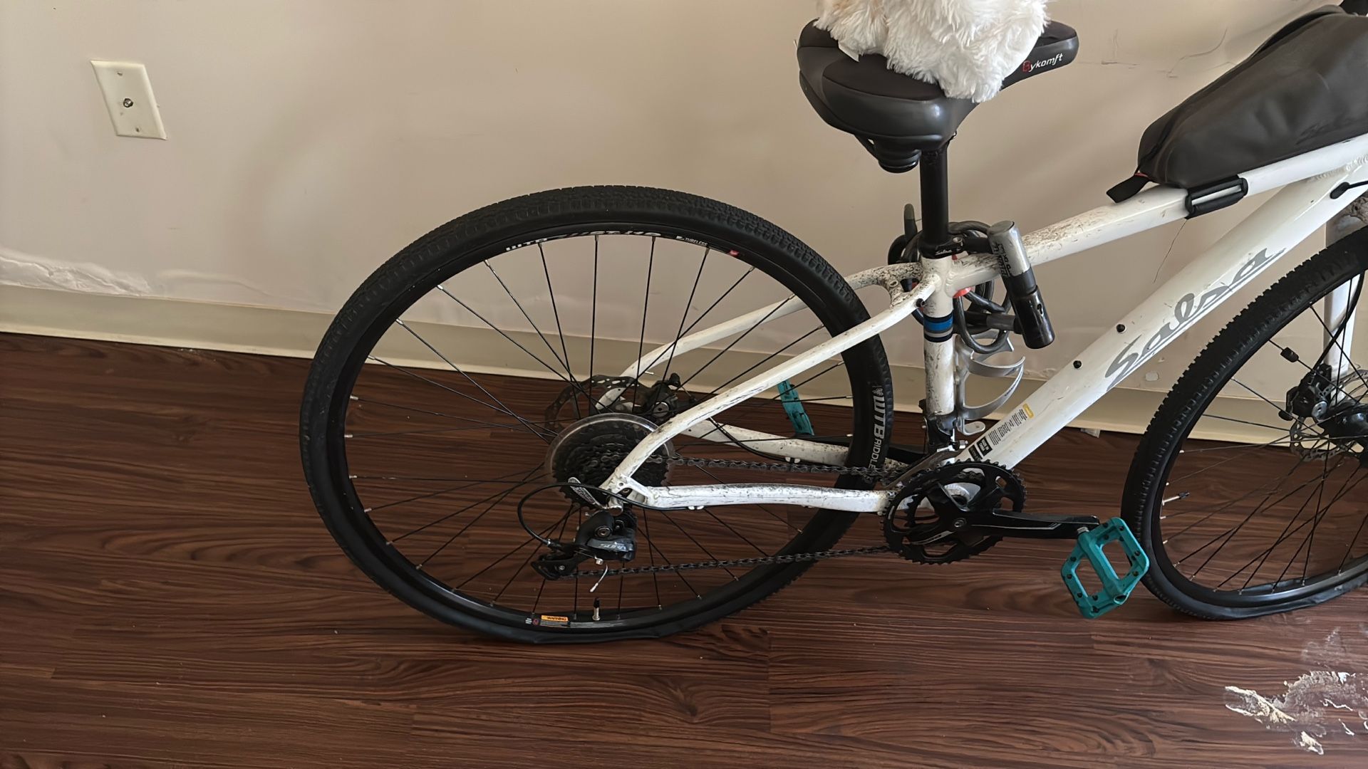 Salsa Bike 