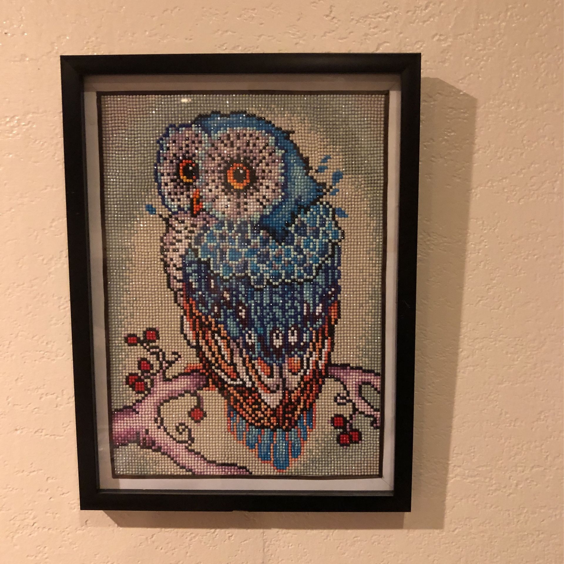 Handmade Owl Diamond Painting With Frame-12x16- $55