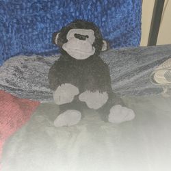 Gorilla Plushie