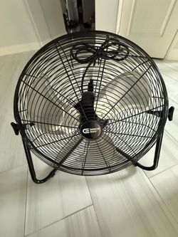 Fan