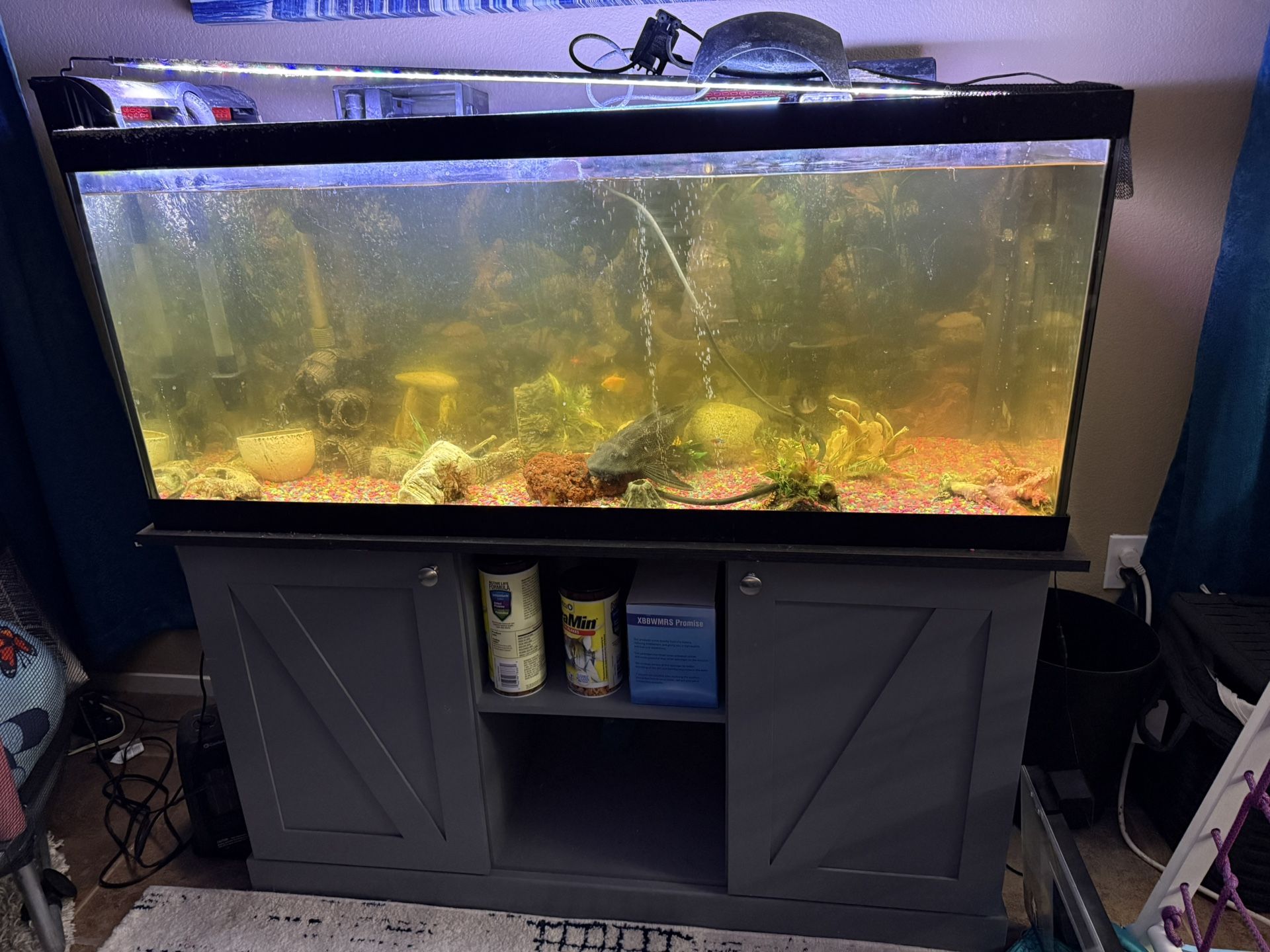 50 Gallon Fish Tank With Accessories