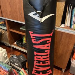 Full Size Punching Bag