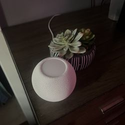 Apple HomePod Mini - Perfect Condition! Really Loud Speaker!