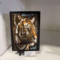 Tiger Engraving Portrait  (Eighty Four & 6 Designs)