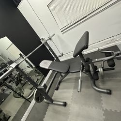 Weight Bench With Leg Developer