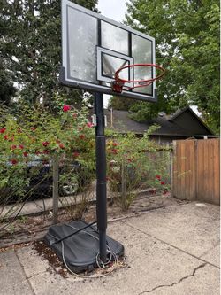 Lifetime Portable Basketball Hoop, Adjustable