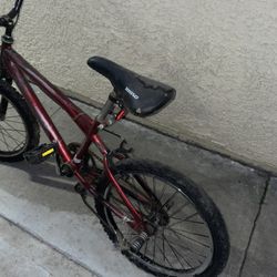 Bmx Bike