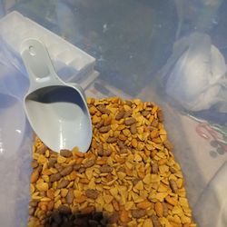 Pet Food Container With Scooper Spoon