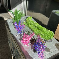 Fish Tank Decorations