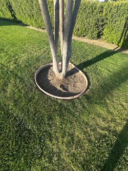 GARDENER/ JARDINERO