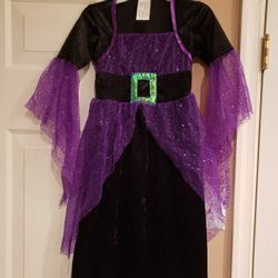 Halloween Costume - Witch and Accessories