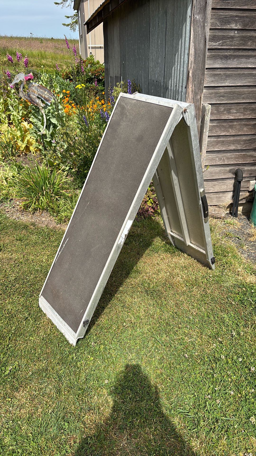Folding Dog Ramp
