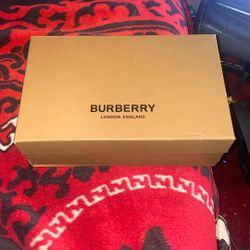 Tan Burberry 10.5
