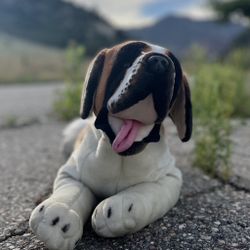 Rare Large Saint Bernard Plush - Toys & Collectibles | Color: Brown | Size: l