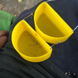 Chicken/rooster Water Or Food Bowl