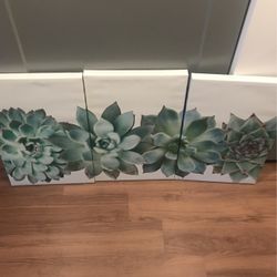 Large Succulent Wall Art