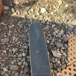 Skate Board