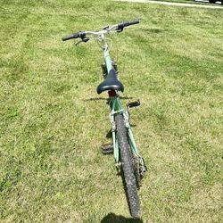 Bikes 