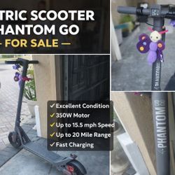 Electric Scooter 