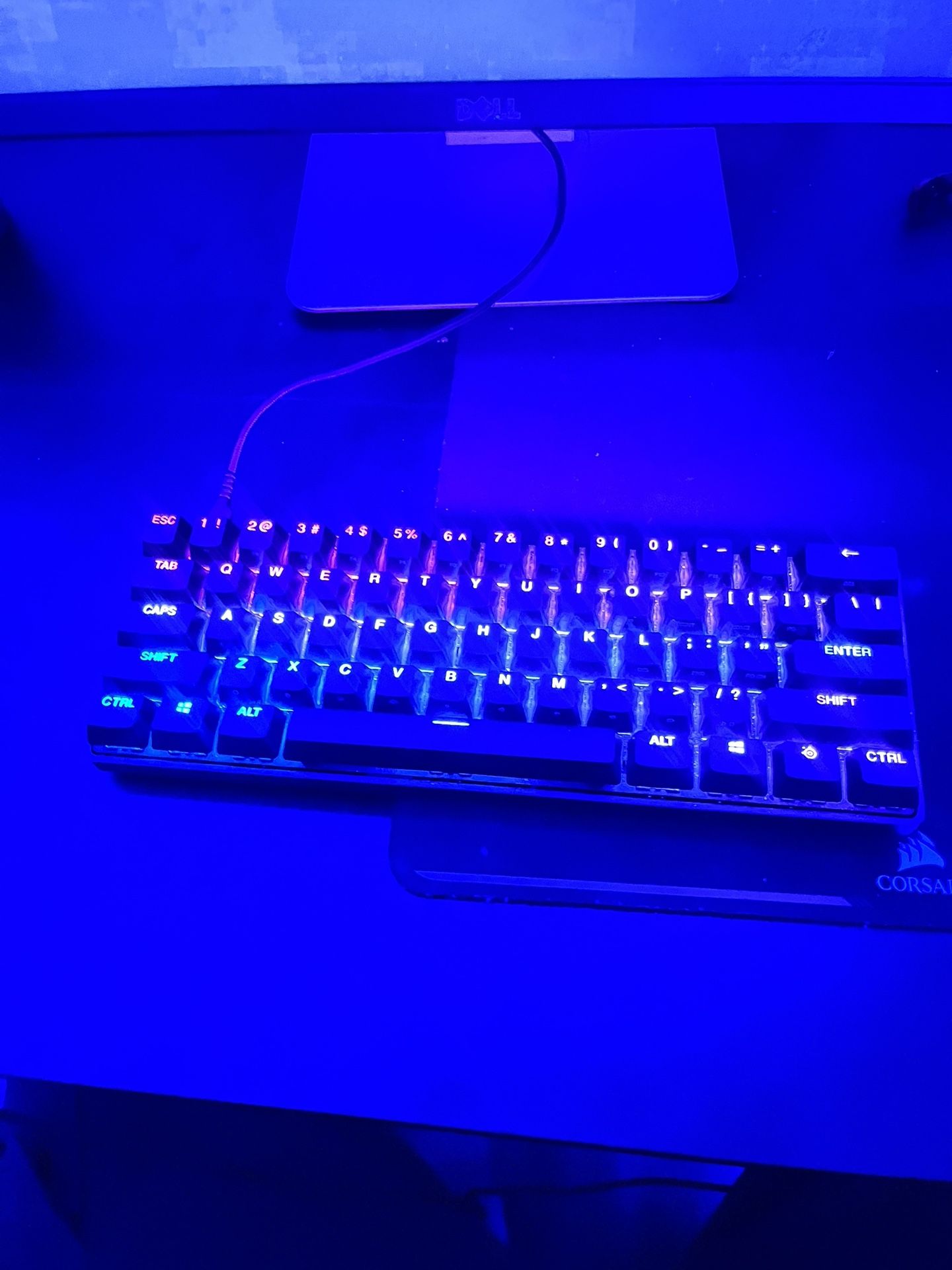 Steelsires Apex Pro Mini Clear Switches 