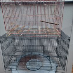 Bird Cages.