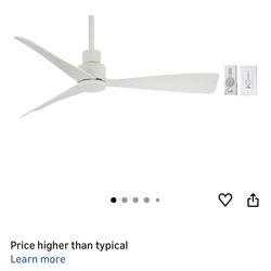 Outdoor Indoor Ceiling Fan 