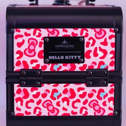Hello kitty makeup case