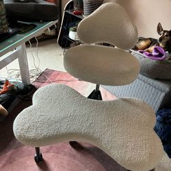 Ergonomic Desk Chair