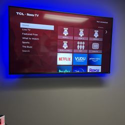 55 Inch Roku Tv