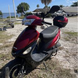 2020 50Cc Ice Bear Scooter