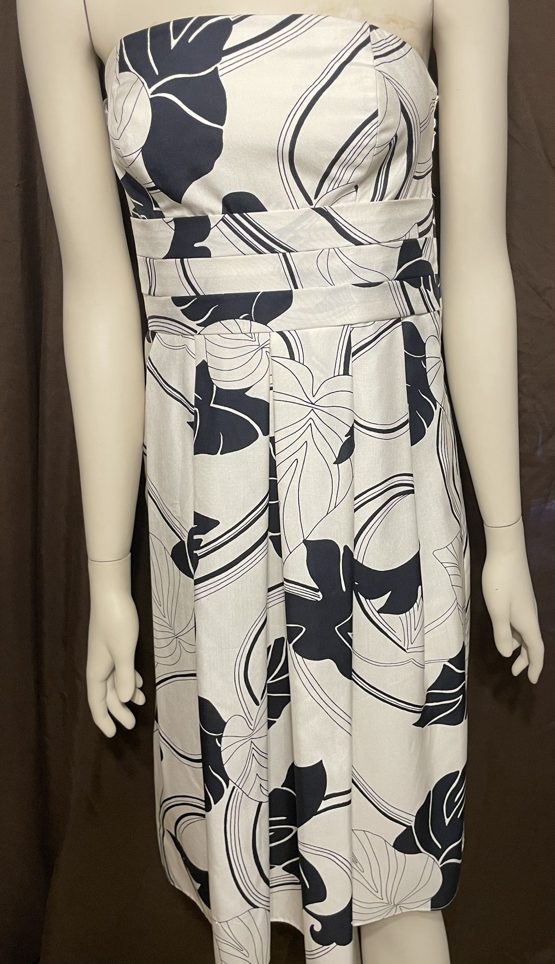 Ann Taylor Dress Women’s Size 0