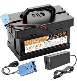 24V 8Ah Rechargeable Lithium-Ion Battery