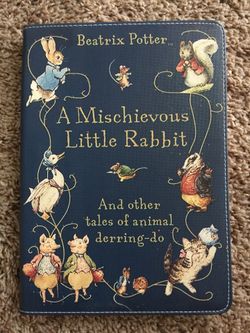 Beautiful iPad Case - Brand New