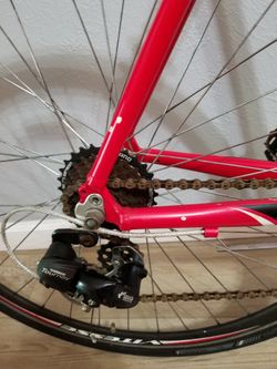 Tonino Lamborghini 50 Cm Frame